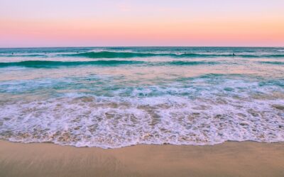 My Summer Vacation and Restful July Plans