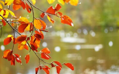 My September To-Do List