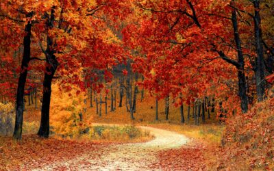 My October To-Do List