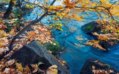 My November To-Do List