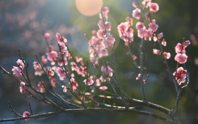 My April To-Do List